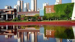  蘇州中學(xué)園區(qū)校西馬國際課程，一文帶你看詳情！