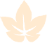 ?上海AMC10課程線下培訓機構推薦！