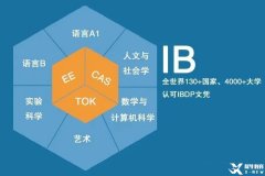 太全了！一文詳解IB課程體系！附9-12年級IB升學(xué)時(shí)間軸