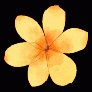 A-Level數(shù)學(xué)怎么考能拿到A*，備考難點(diǎn)及學(xué)習(xí)規(guī)劃分析！