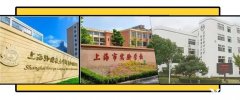 上海三公學(xué)校備考規(guī)劃：AMC8和小托福課程安排介紹！