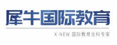 不學(xué)IGCSE可以學(xué)ALEVEL嗎？IGCSE優(yōu)勢(shì)分析~