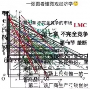 IG經濟培訓輔導班怎么選？靠譜機構推薦