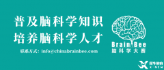 2025BrainBee腦科學(xué)大賽開始報(bào)名！BrainBee報(bào)名考試時(shí)間/報(bào)名方式/考試大綱奉上！