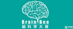 Brain Bee生物競(jìng)賽規(guī)則及培訓(xùn)課程介紹，詳情了解~